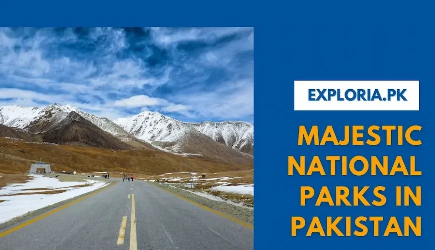 Top Majestic National Parks in Pakistan
