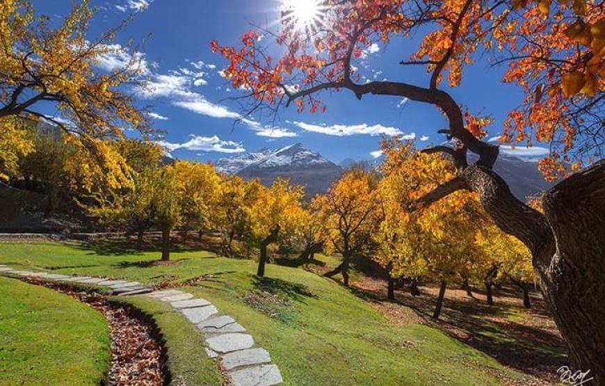 Hunza, Nagar, Fairy Meadows and Gilgit Trip (7 Days)