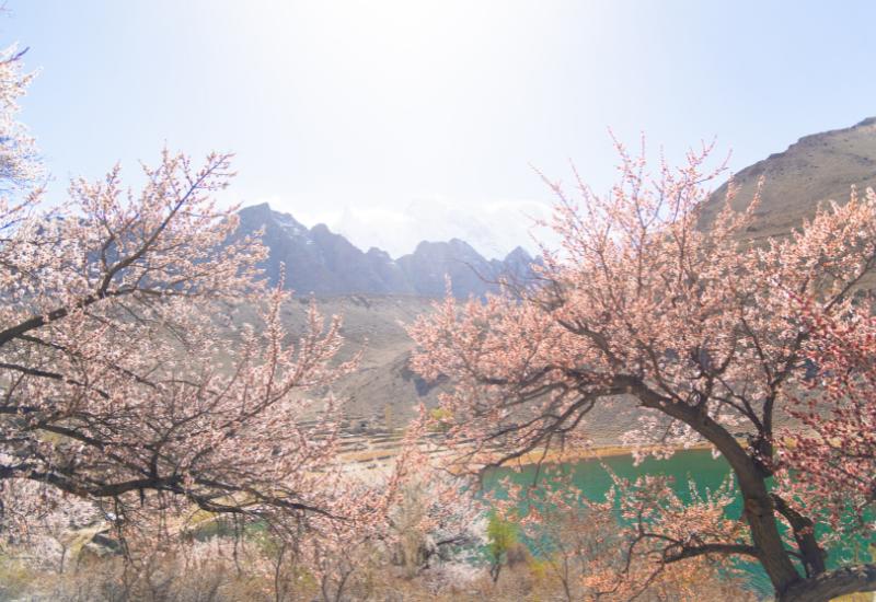 Day 4 - Khunjerab Pass Tour 