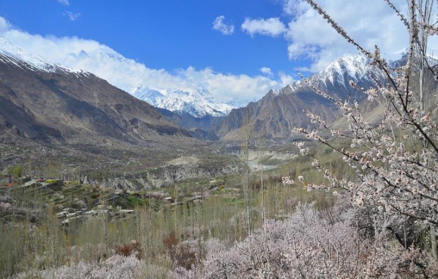 Blossom Tour to Pakistan – Discover Stunning Spring Beauty in Hunza