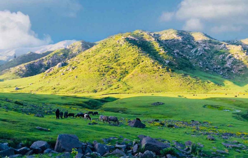 11 Days Trip To Hunza Valley From Karachi (By Road)