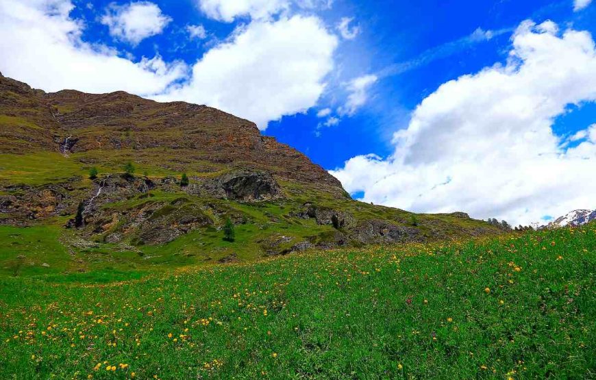 Hunza, Nagar, Fairy Meadows and Gilgit Trip (7 Days)