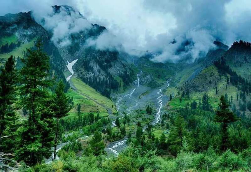 DAY 3 - Hunza to Naltar Valley