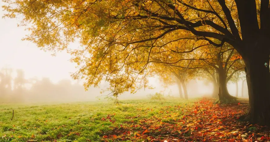 Best Fall Destinations In Skardu