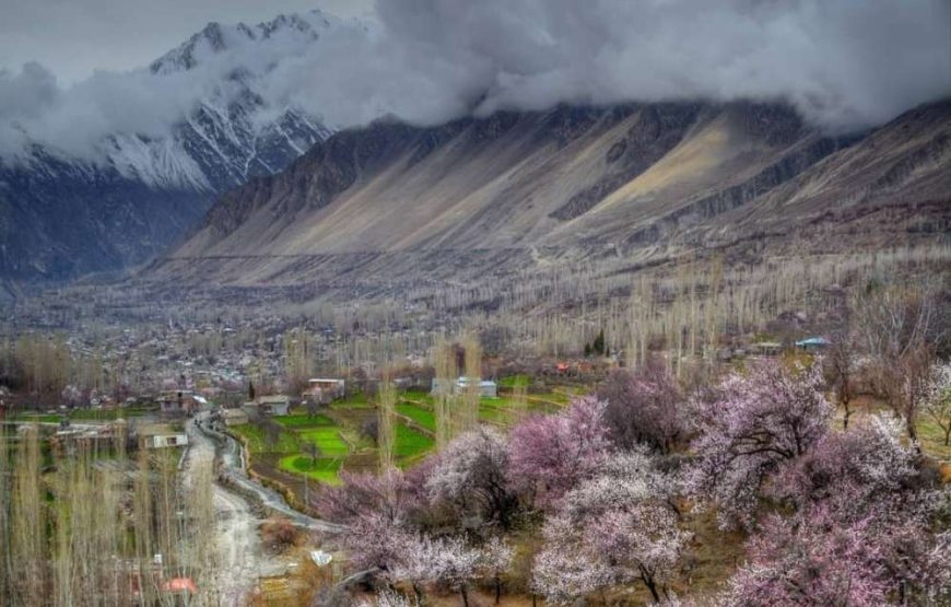 Blossom Tour to Pakistan – Discover Stunning Spring Beauty in Hunza