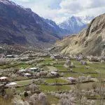 Cherry Blossom Hunza Pakistan 2024jpg (7)