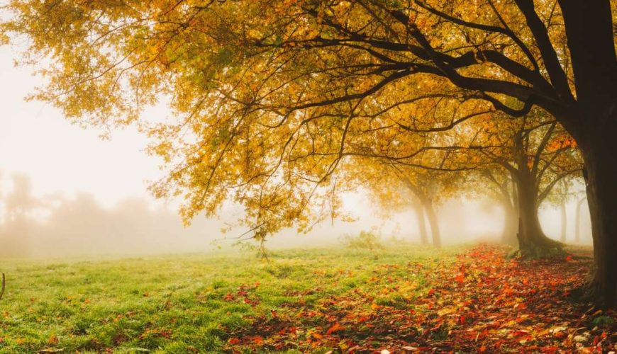 Fall in skardu, automn season in skardu