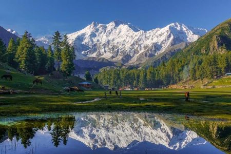 Fairy meadows tour packages