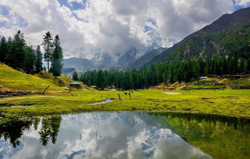 Hunza, Nagar, Fairy Meadows and Gilgit Trip (7 Days)