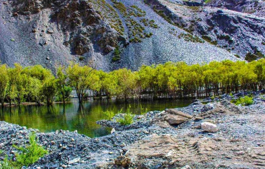 12-Day Kalash, Swat & Peshawar Tour – Culture, History & Nature in Pakistan