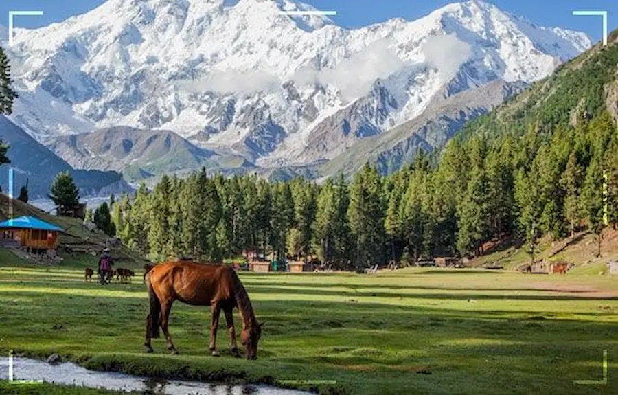 Pakistan Fun Top Ten Fun Things to do in Northern Areas of Pakistan - Exploria.pk