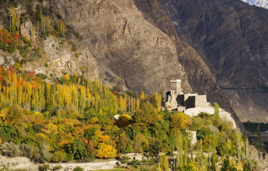 All Pakistan Tour