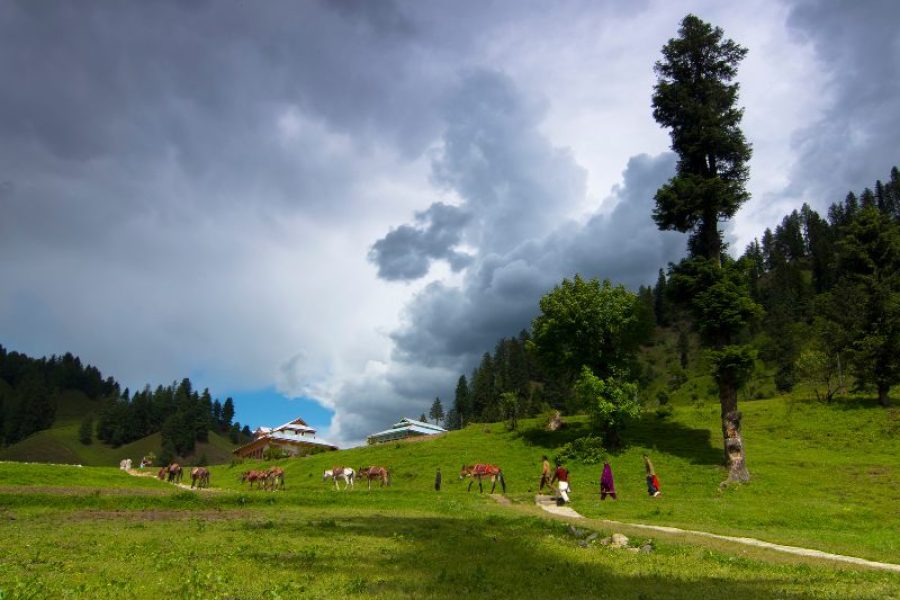 summers in Neelam valley tour
