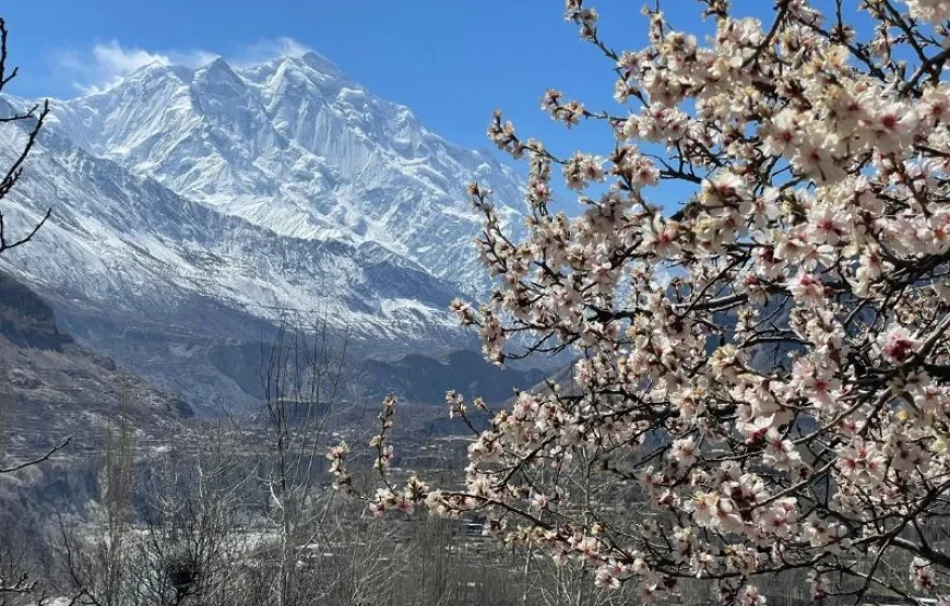 Blossom Tour to Pakistan – Discover Stunning Spring Beauty in Hunza