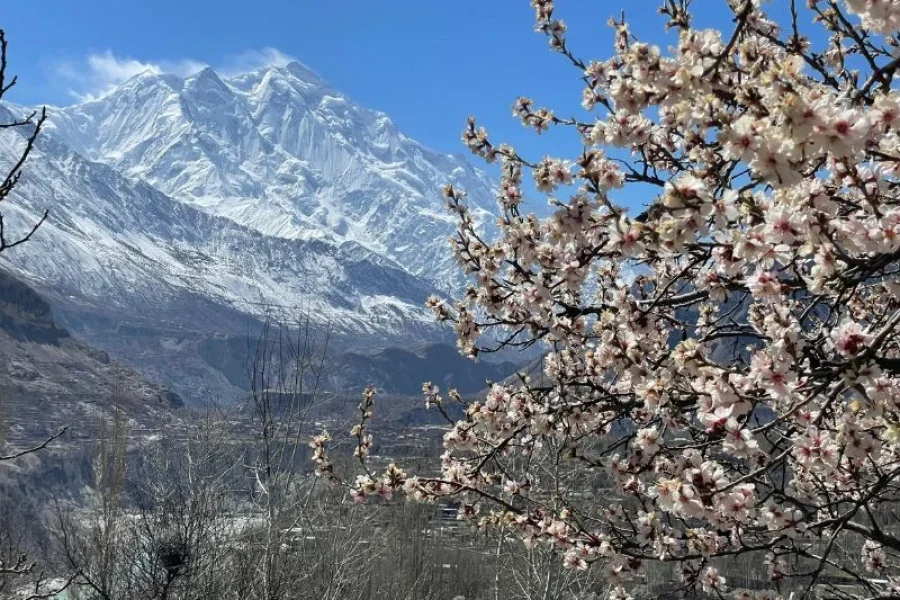 Blossom Tour to Pakistan – Discover Stunning Spring Beauty in Hunza