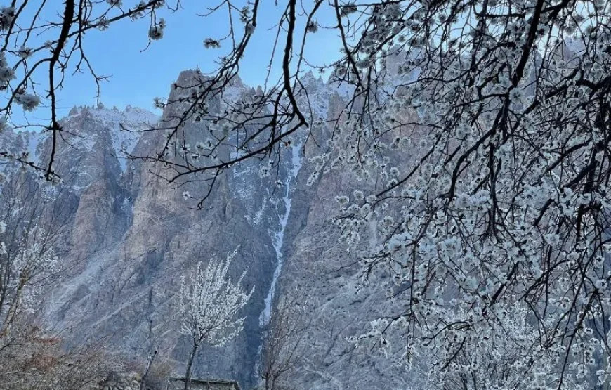 Blossom Tour to Pakistan – Discover Stunning Spring Beauty in Hunza