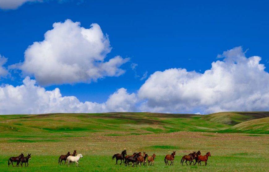 4 Day Skardu Tour By Air from Lahore