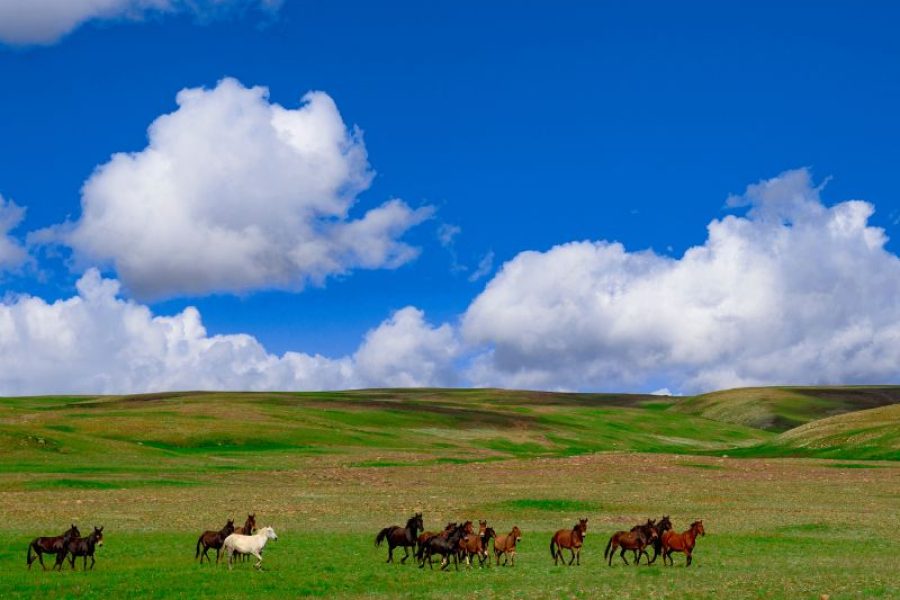 5 Days Trip to Skardu By Air 2025