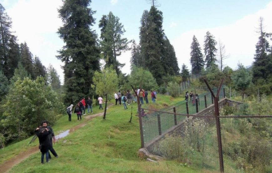 Mushkpuri Top Hike