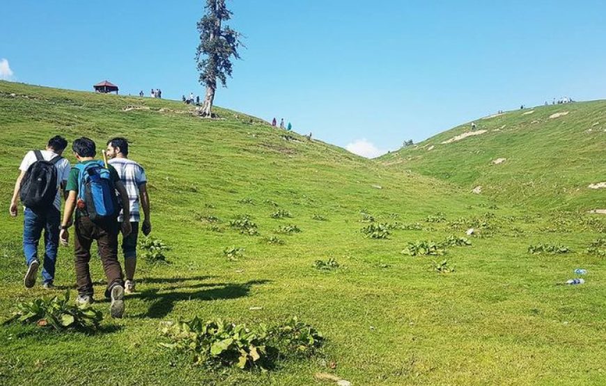 Mushkpuri Top Hike
