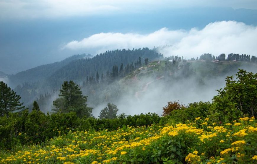 Day Excursion to Siri Paye Meadows