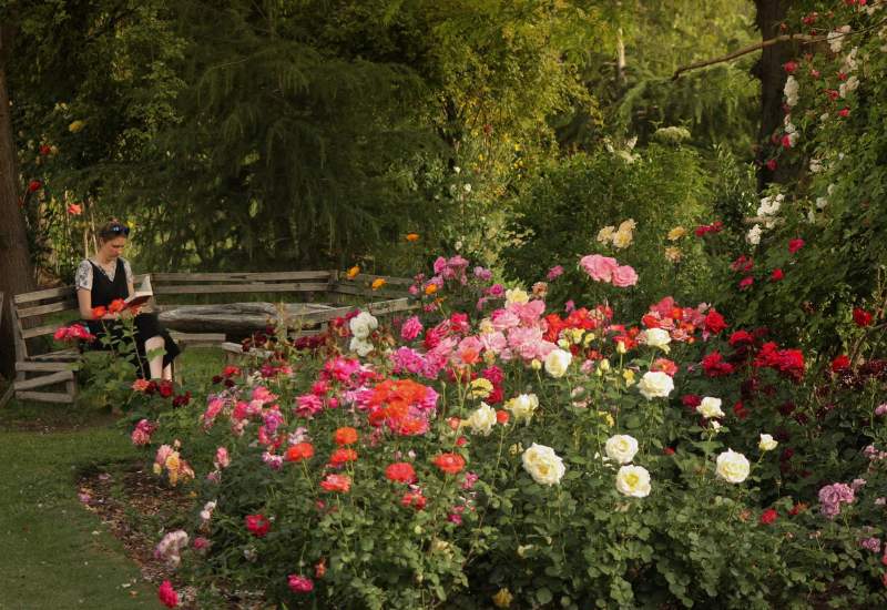 DAY 3 - SWAT VALLEY - AYUN