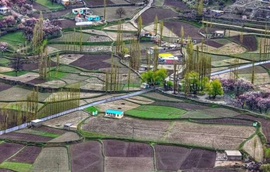 Hunza, Nagar, Fairy Meadows and Gilgit Trip (7 Days)