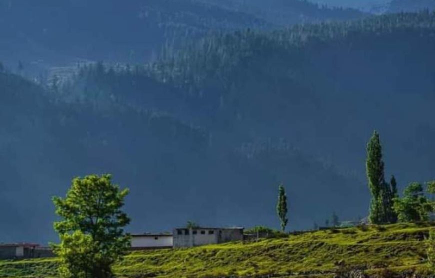 Trip to Swat and Kalam (4 days)