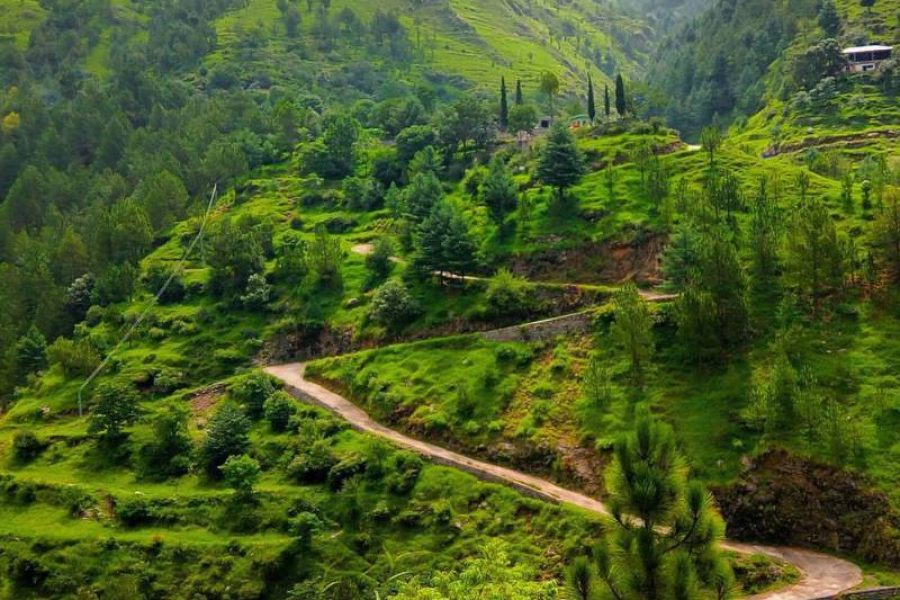 Swat Valley Tour from  Islamabad  (2 Days)