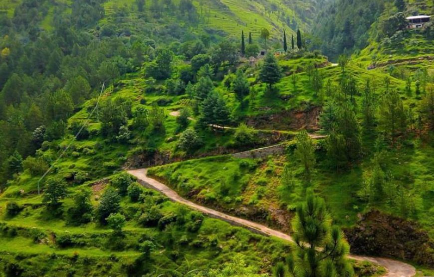 Swat Valley Tour from  Islamabad  (2 Days)
