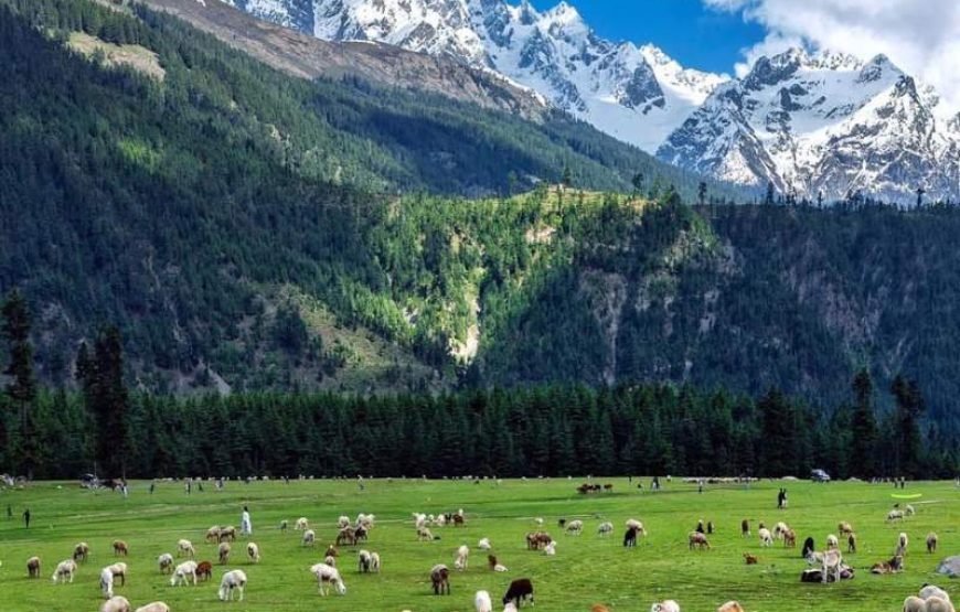 Swat Valley Tour From Karachi (6 Days)