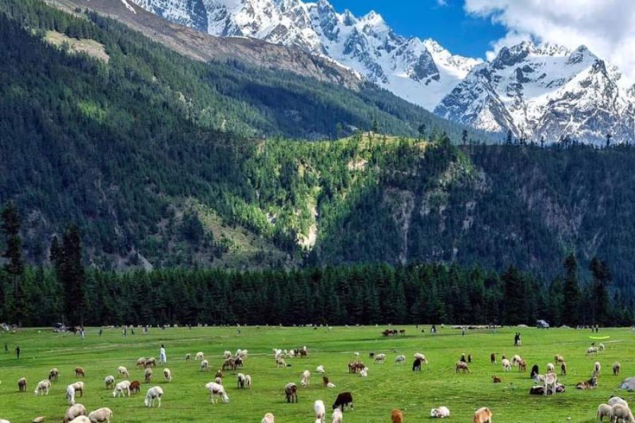 Swat Valley Tour From Karachi (6 Days)