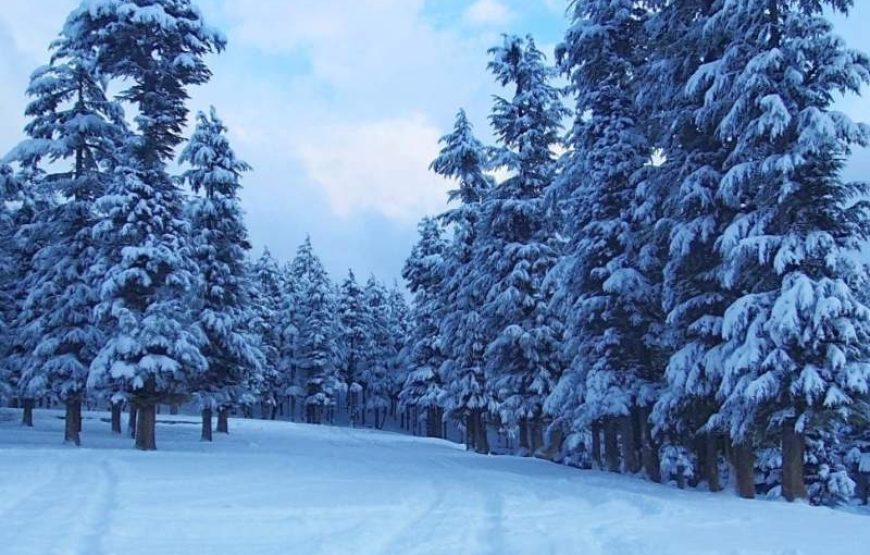 Swat Valley Tour From Karachi (6 Days)