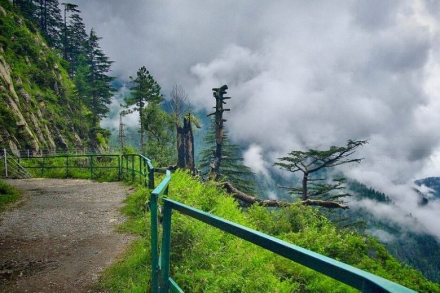 Nathia Gali