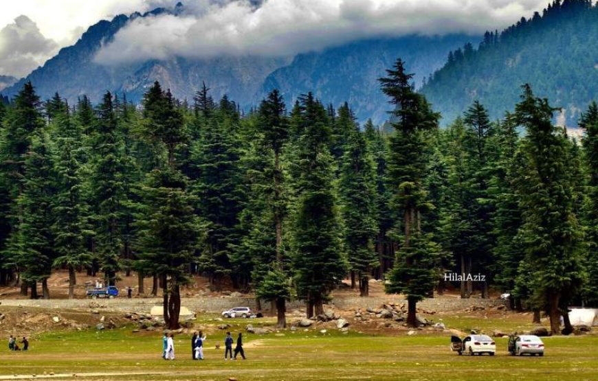 Swat Valley Tour From Karachi (6 Days)