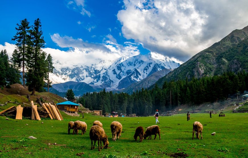 All Pakistan Tour