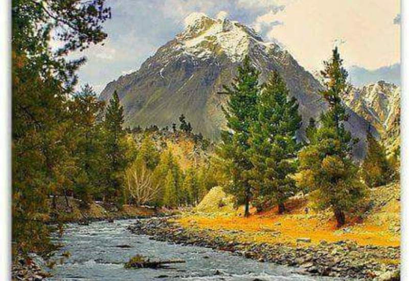 DAY 4 - Naltar Valley