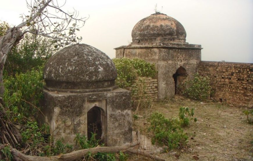Rohtas Fort Tour (Day Trip from Islamabad)  1 Day