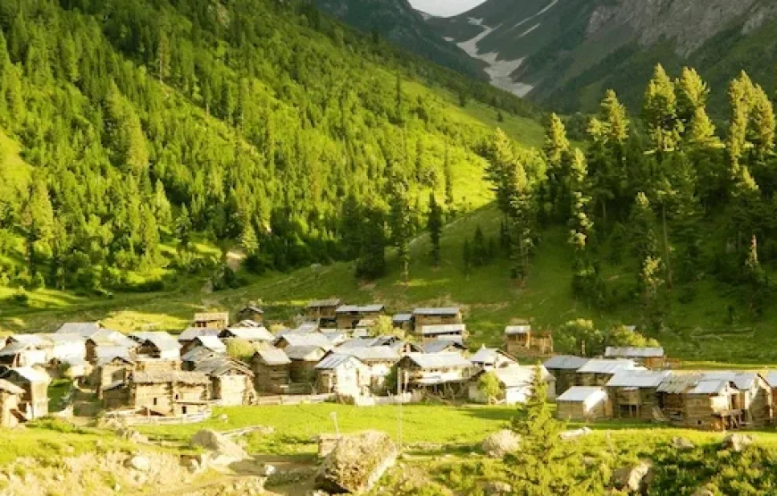 All Pakistan Tour