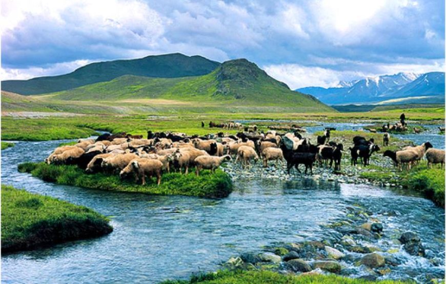All Pakistan Tour