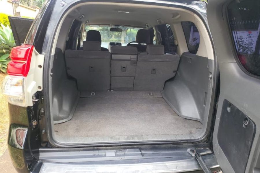 Land Cruiser Prado 2010 Model