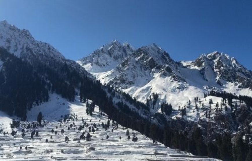 All Pakistan Tour