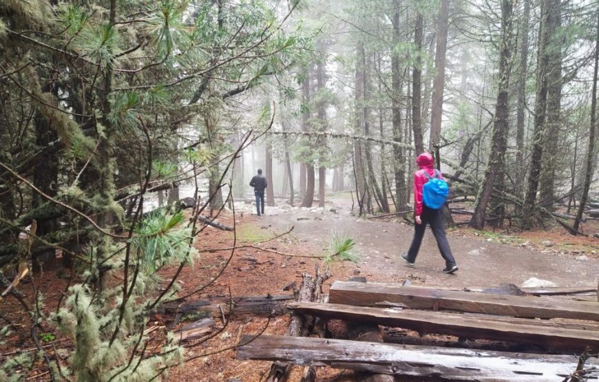 Hunza valley and Nanga Parbat Base camp trekking tour