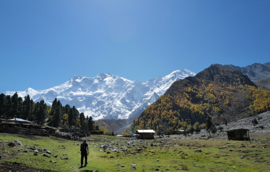 All Pakistan Tour
