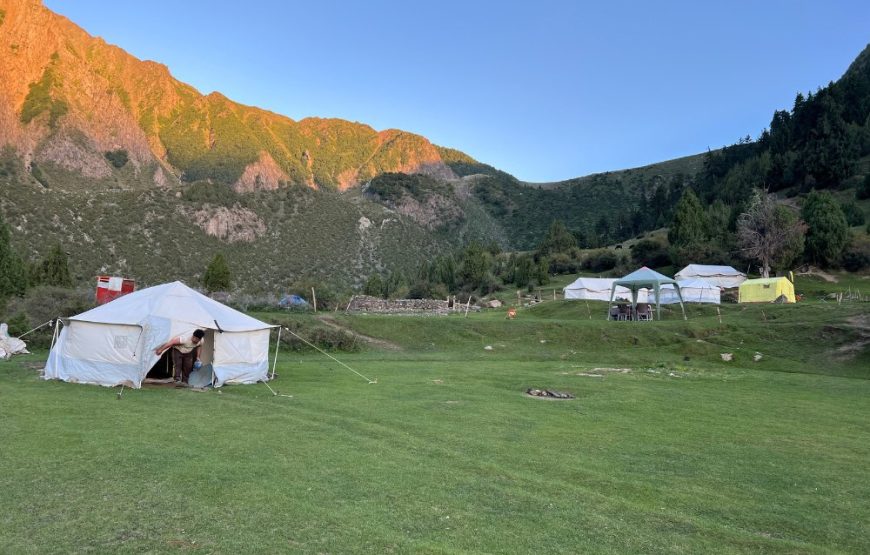 Rakaposhi & Diran Base Camp Adventure