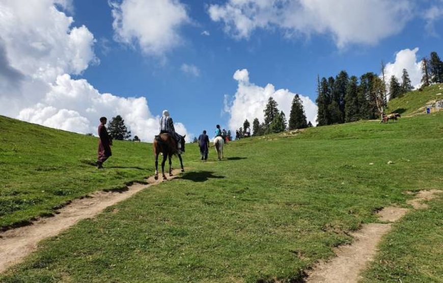 Mushkpuri Top Hike