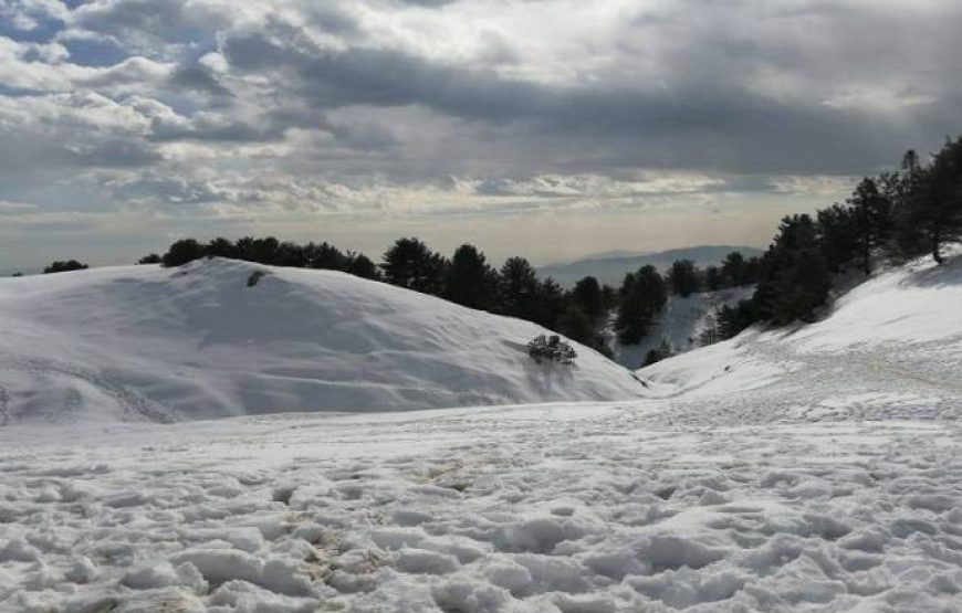 Mushkpuri Top Hike